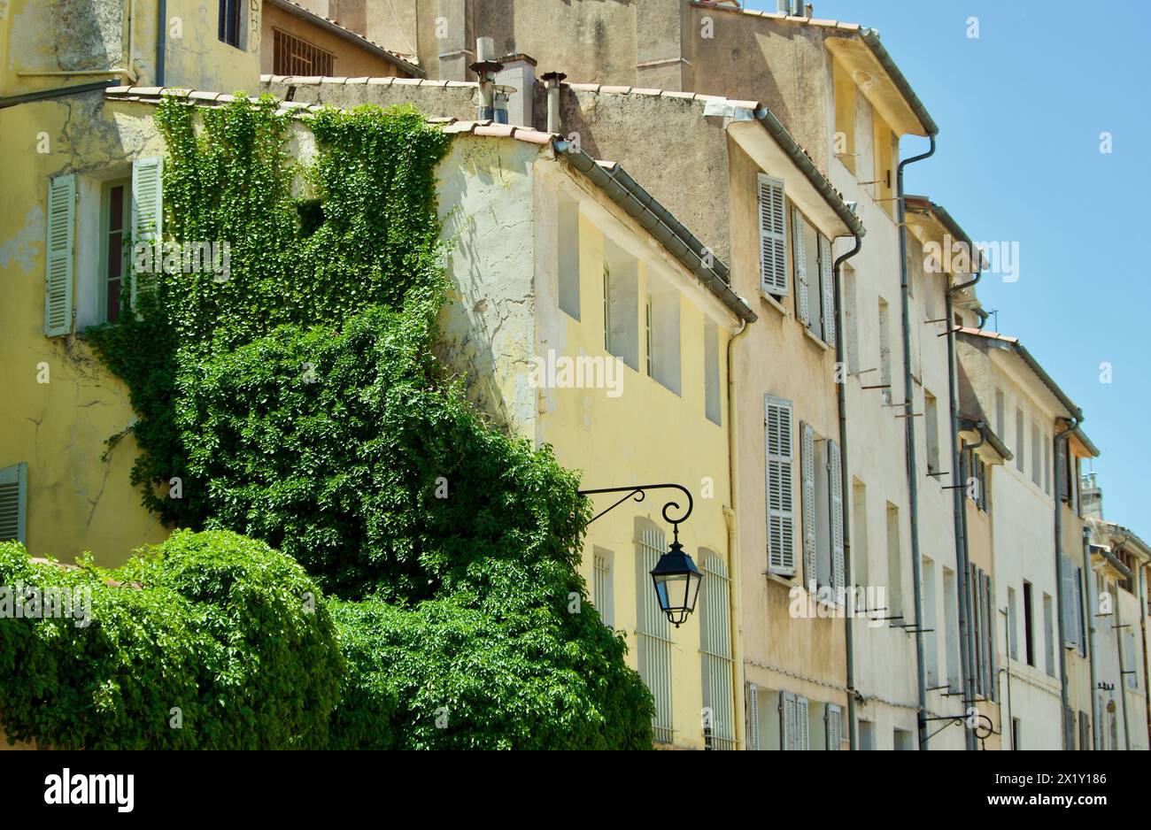 Wandlaterne und eine grüne Kletterpflanze vor Steinhäusern in Folge im Sommer in Frankreich. Stockfoto