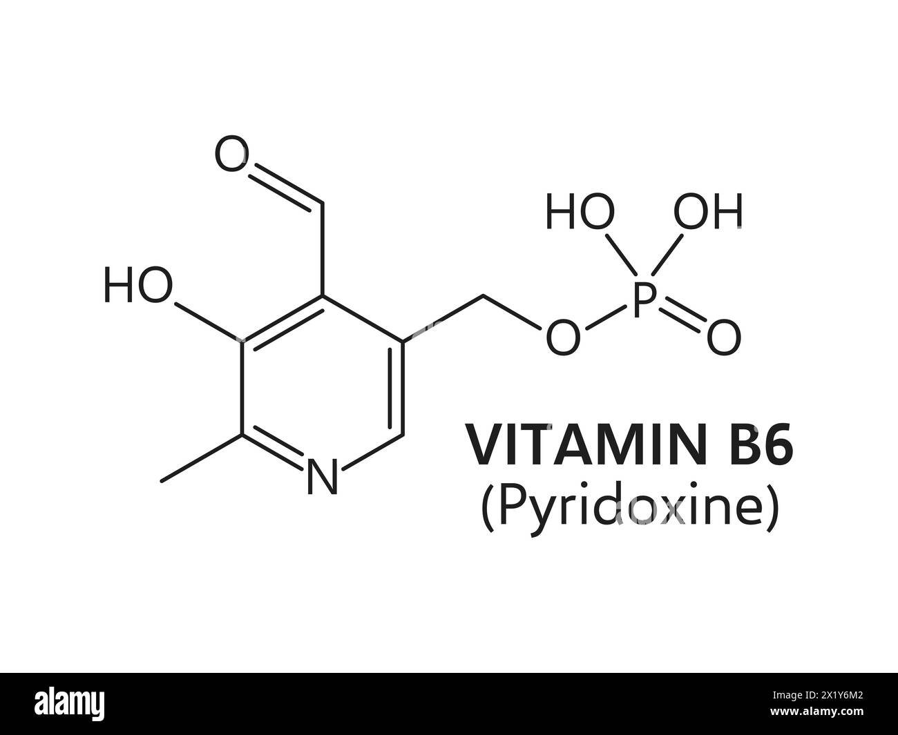 Vitamin B6-Formel. Dünnlinienchemische Struktur von Pyridoxin, Pyridoxamin oder Pyridoxal, Vektor-Nahrungsergänzungsmittel, Chemiewissenschaft und Medizin. Vitamin B6 essentielle Nährstoffstrukturformel Stock Vektor