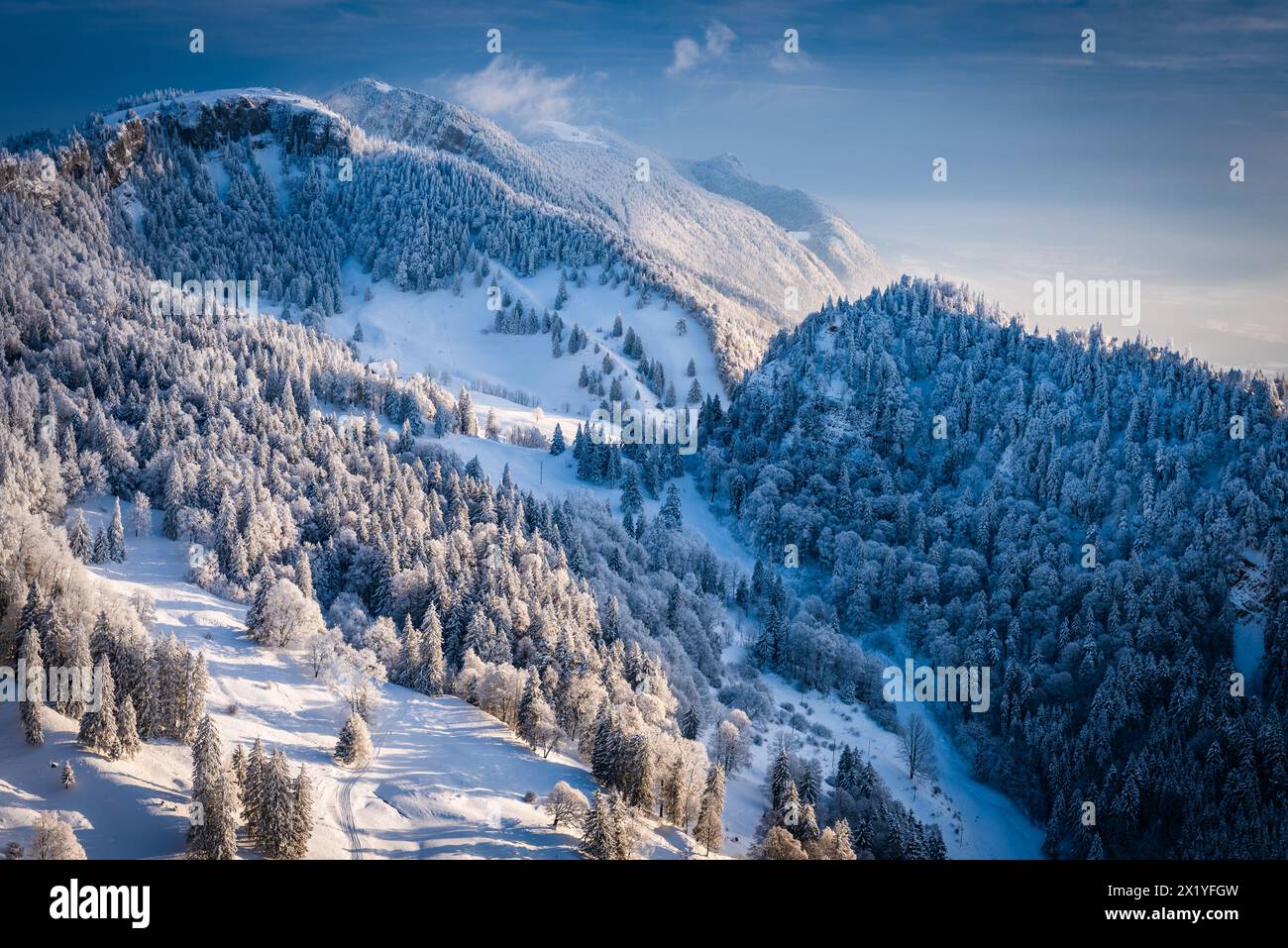Winterzauber: Schweiz, Kanton Solothurn, Grencherberg Stockfoto