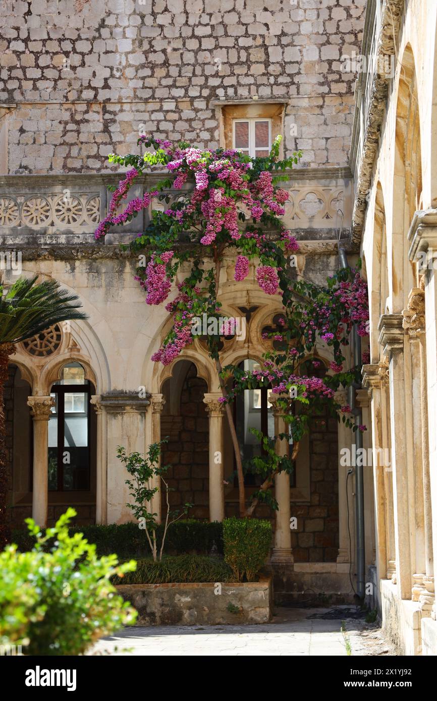 Benediktinerkloster St. Mary, Lokrum Island, Dalmatien, Kroatien Stockfoto