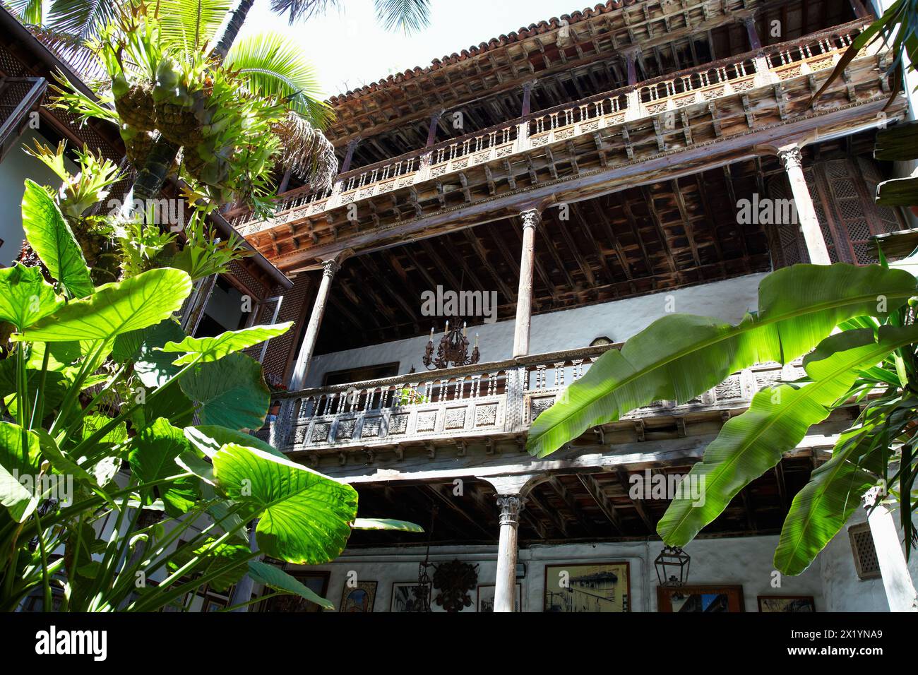 Philodendron-Blatt, Tourist home, Casa Lercaro, Casa de Los Balcones, La Orotava, Teneriffa, Kanarische Inseln, Spanien. Stockfoto