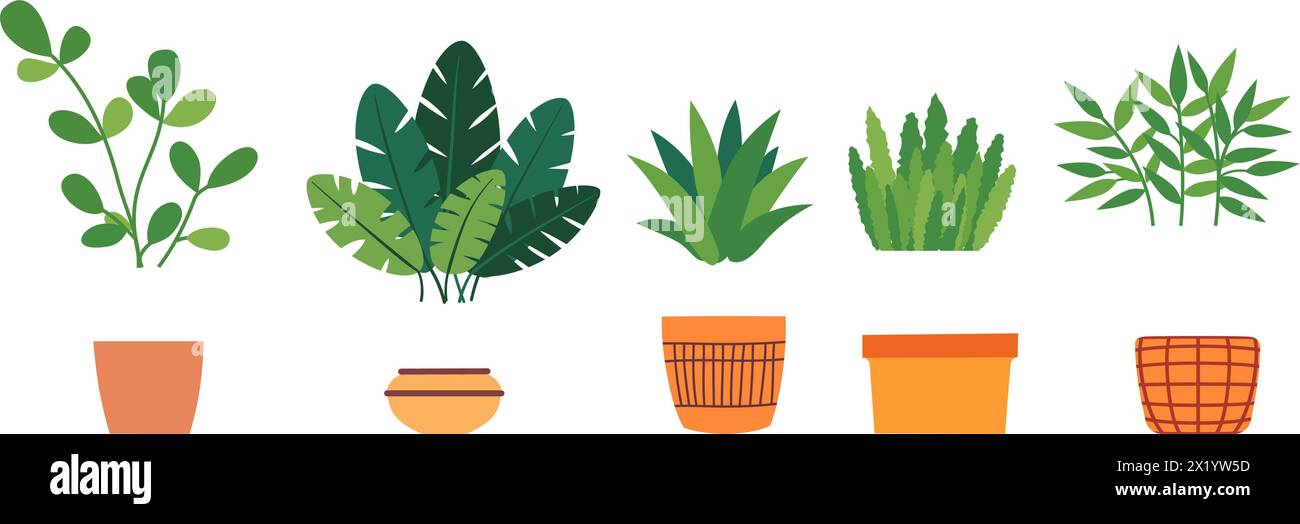 Grüne Pflanzen im Innenbereich. Grünpflanzen für die Innendekoration, Pflanzenliebhaber. Blumen in einem Topf in flachem Stil. Vektorabbildung. Stock Vektor