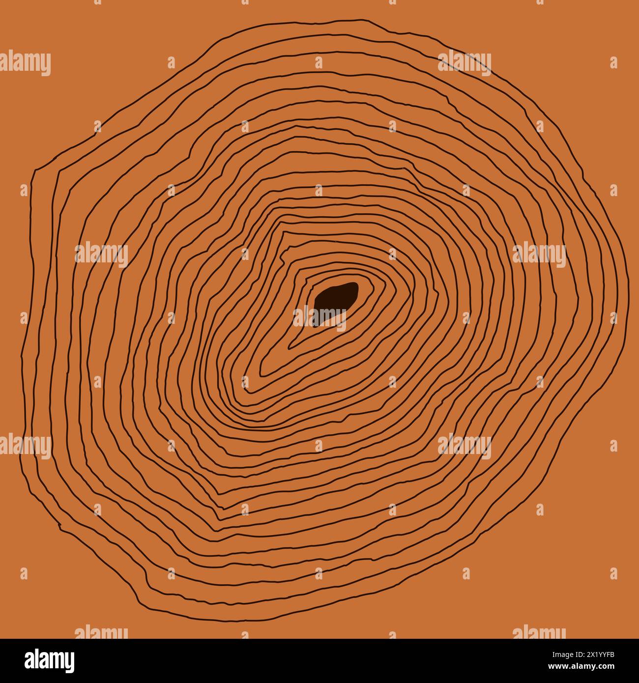 Holzfaserstruktur. Grafiken mit Kernholzmuster Stock Vektor