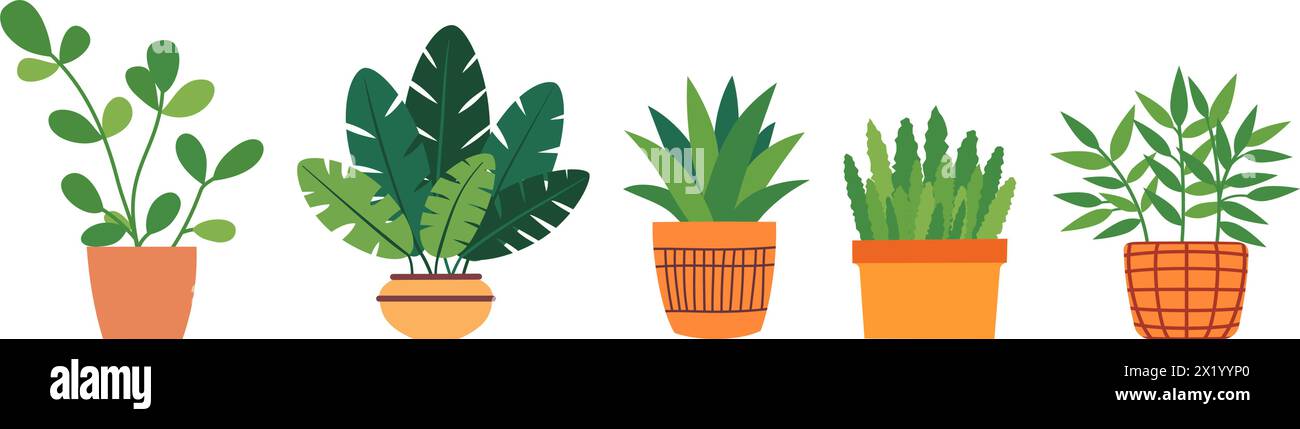 Set von üppig grünen Pflanzen in Töpfen. Grünpflanzen für die Innendekoration, Pflanzenliebhaber. Blumen in einem Topf in flachem Stil. Zimmerpflanzen. Vektorabbildung. Stock Vektor