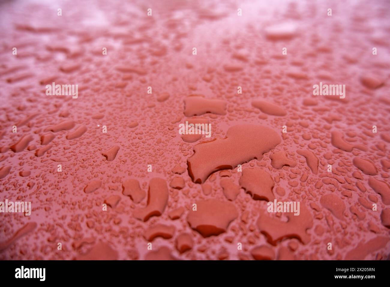 Detail der durch Regenwasser nassen Metalloberfläche Stockfoto