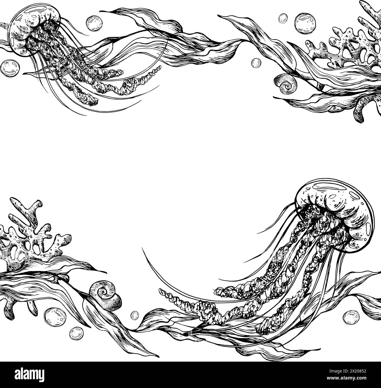 Unterwasserwelt Clipart mit Meerestieren Quallen, Blasen, Korallen und Algen. Grafische Abbildung, handgezeichnet mit schwarzer Tinte. Vorlage, Rahmen EPS Stock Vektor