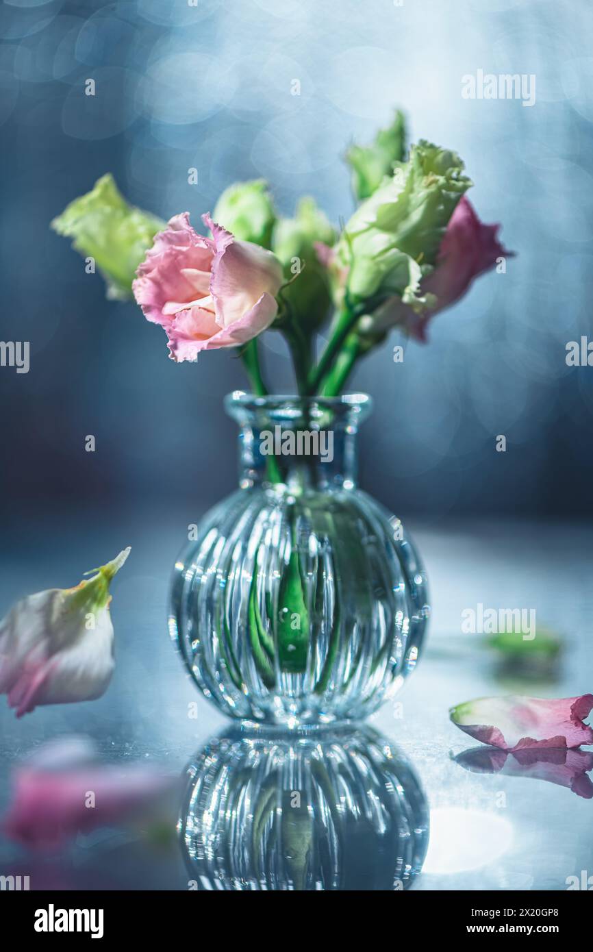 Glasvase gefüllt mit einer Mischung aus rosa und grünen Blumen, schöner Hintergrund mit Highlights in verschiedenen Farben und Bokeh, kreative zarte Karte Stockfoto