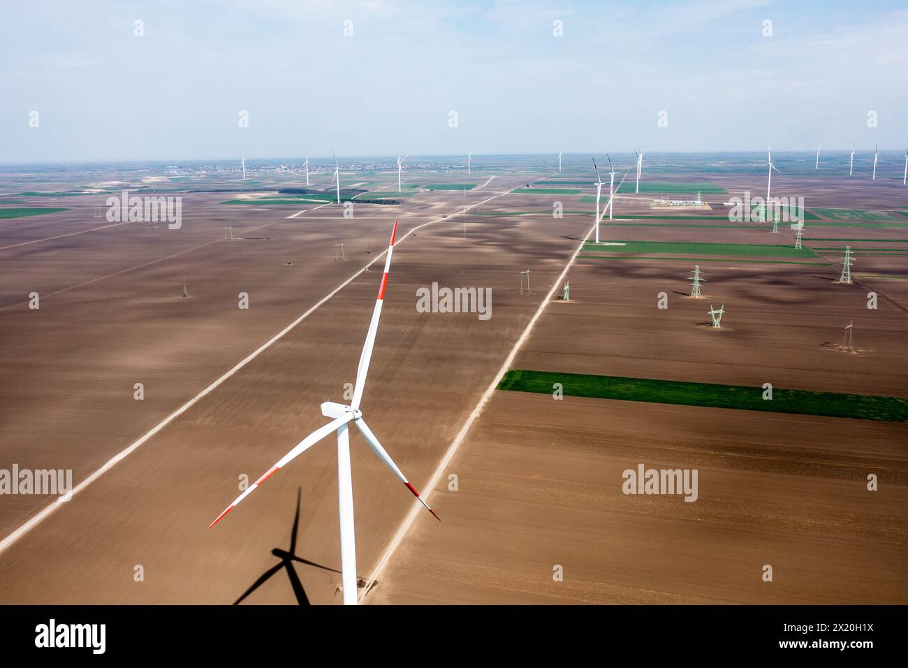 Reihe um Reihe hoch aufragender Windturbinen dominieren die Landschaft und ernten bei Tagesanbruch Energie Stockfoto