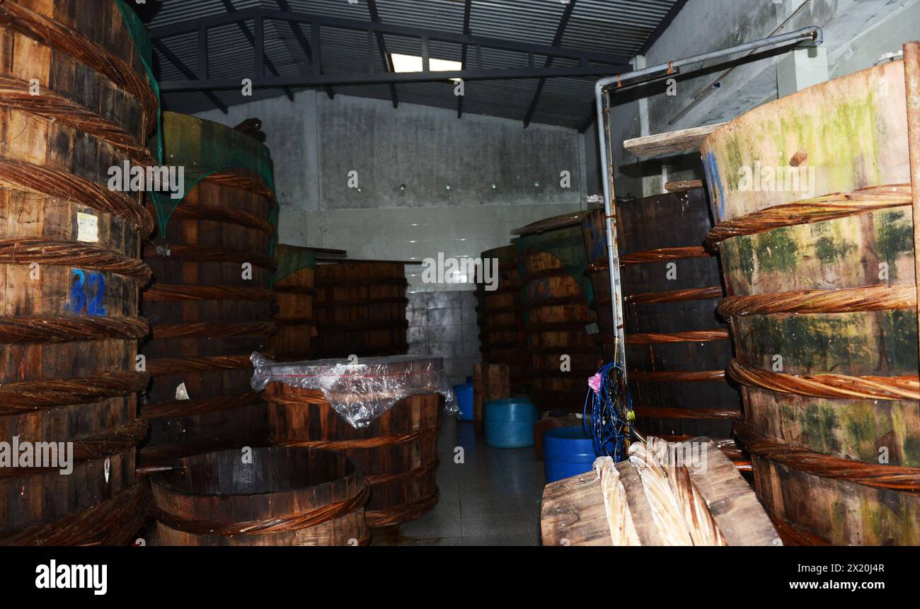 Eine kleine familiengeführte Fischsoßenfabrik in einem Dorf in Bàn Thạch, Hoi an, Vietnam. Stockfoto