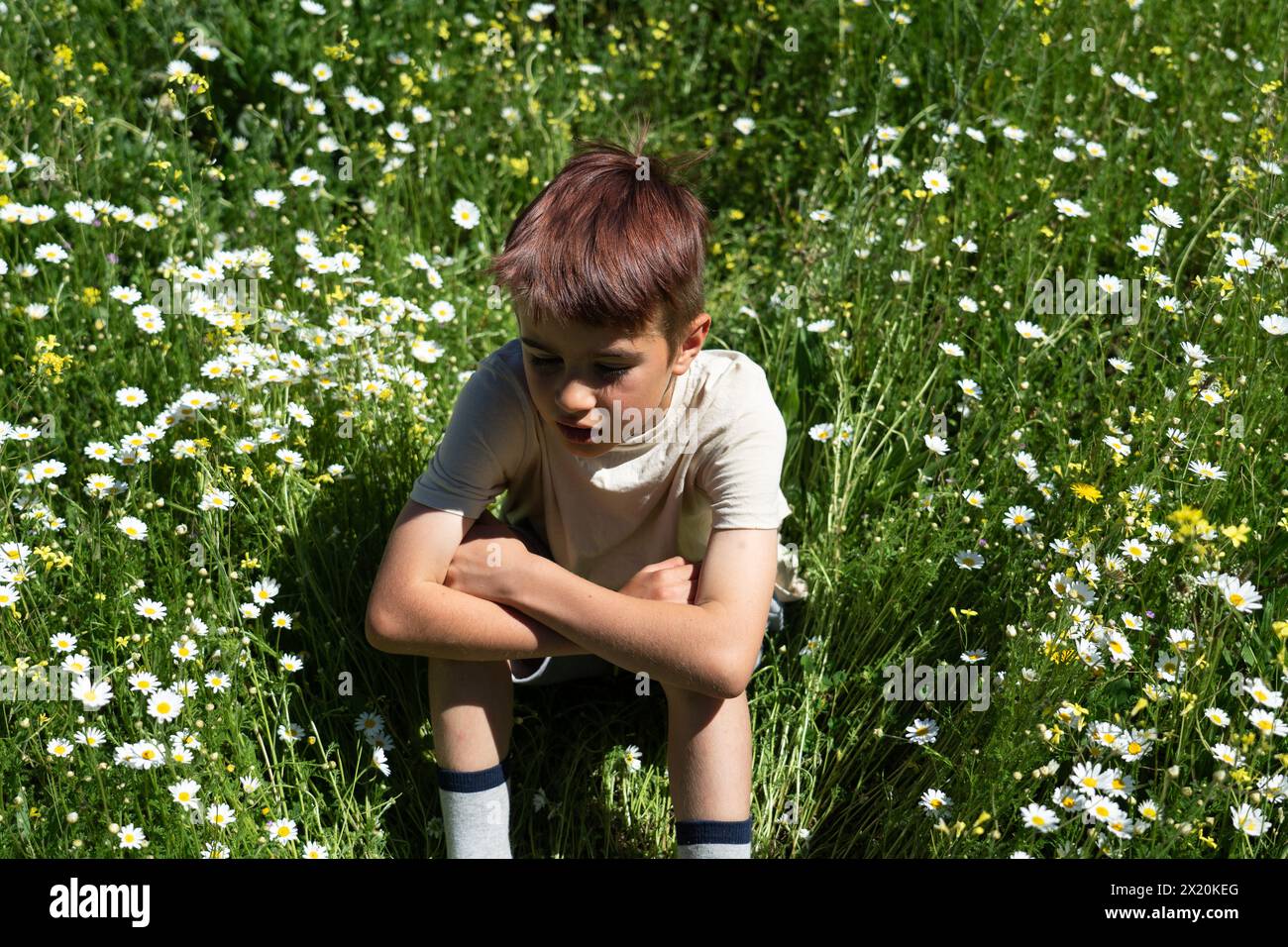 Der achtjährige kaukasische Junge sitzt im Frühling auf einem Blumenfeld Stockfoto