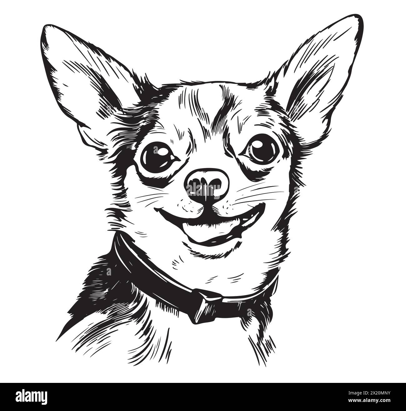 Ein lächelnder chihuahua, eine kleine Hunderasse, dargestellt in einer schwarz-weißen Zeichnung. Dieses fleischfressende, arbeitende Tier hat Barthaare und eine süße Schnauze. Ein Begleithund, wunderschön in einer kunstvollen Schriftart festgehalten Stock Vektor