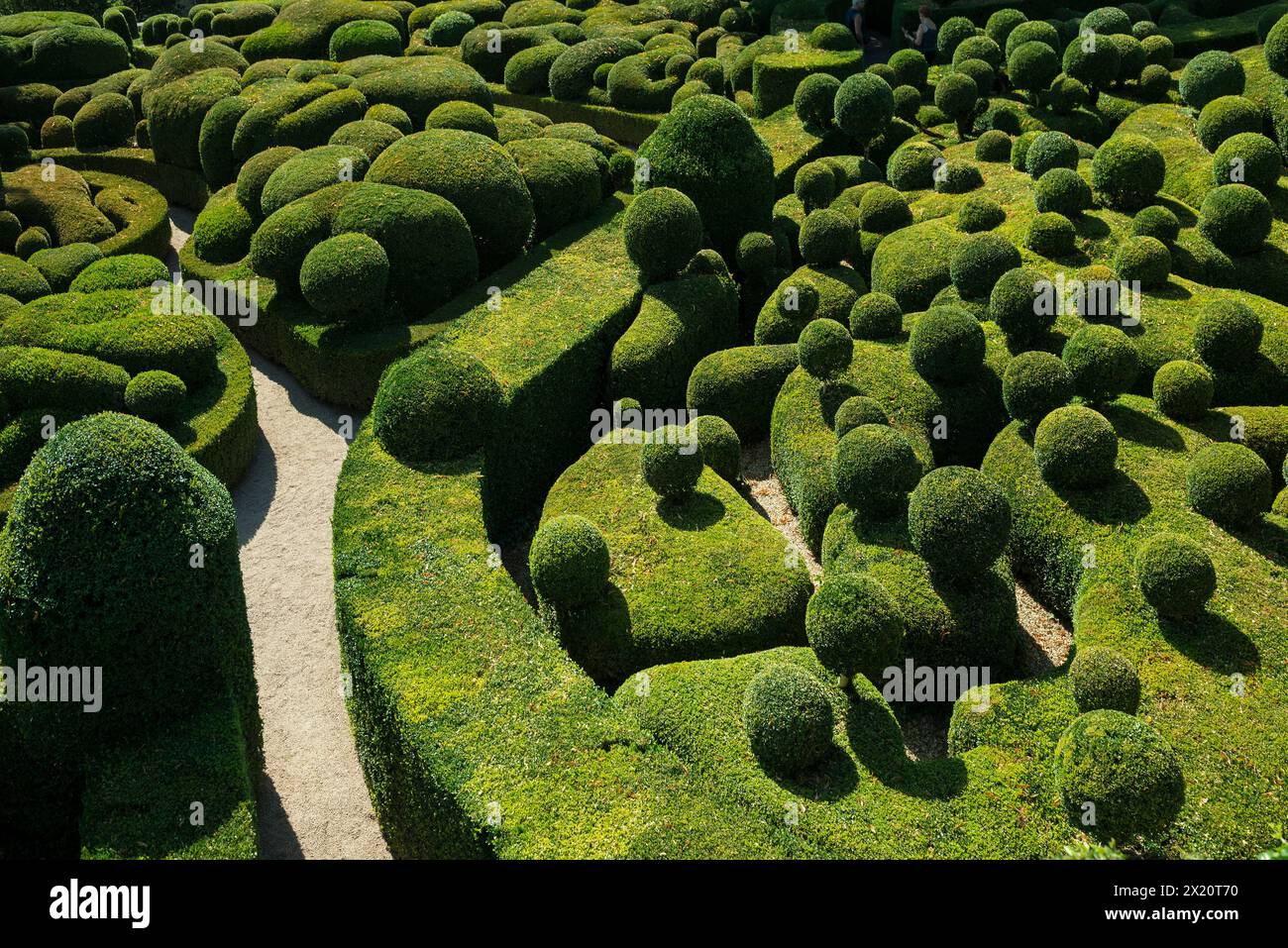 Buchsbaumgarten, Les Jardins de Marqueyssac, Vezac, Dordogne, Périgord, Département Dordogne, Region Nouvelle-Aquitaine, Frankreich Stockfoto