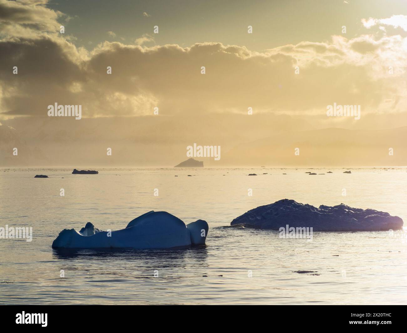 Sonnenaufgang über Eisbergen in der Orleans Strait nahe Trinity Island, Antarktische Halbinsel Stockfoto