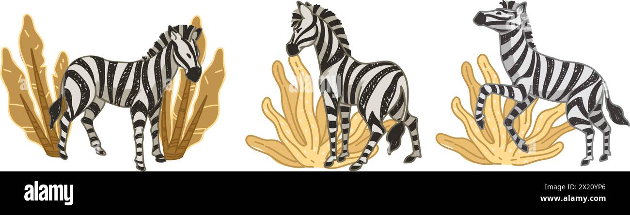 Zebras, die afrikanische Savannah-Vektor grasen Stock Vektor