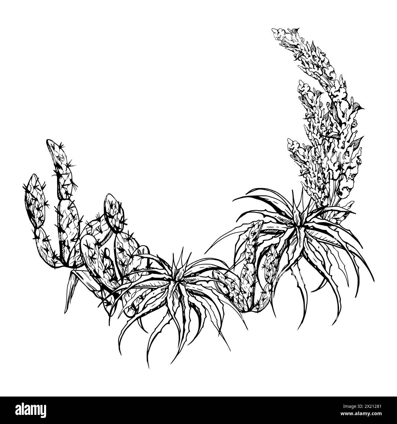 Hand gezeichnete Tinte Vektor Illustration, Natur tropische exotische Wüste Pflanze saftige Kakteen Aloe Agavenblätter. Kranzrahmen isolierter weißer Hintergrund Stock Vektor