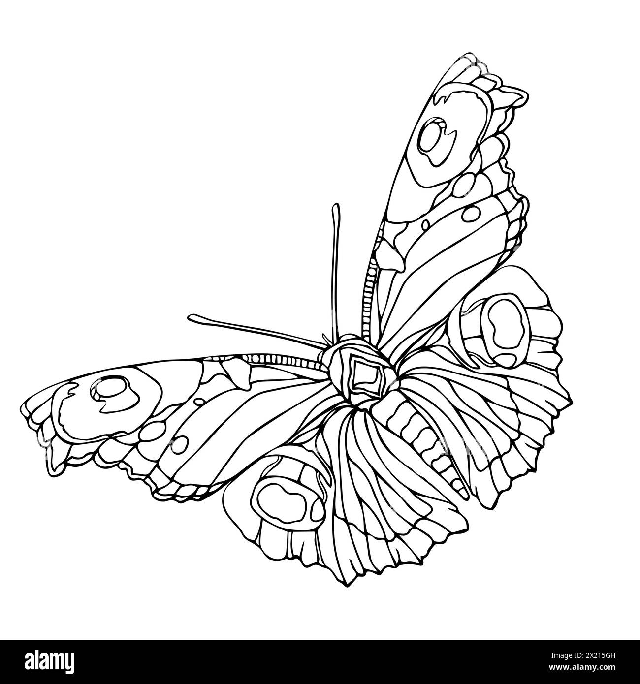Ein Schmetterling mit schwarzem Körper und weißen Flecken. Der Schmetterling ist mit vielen Details gezeichnet, einschließlich seiner Flügel und Antennen. Strichgrafik-Vektor-Illustration Stock Vektor