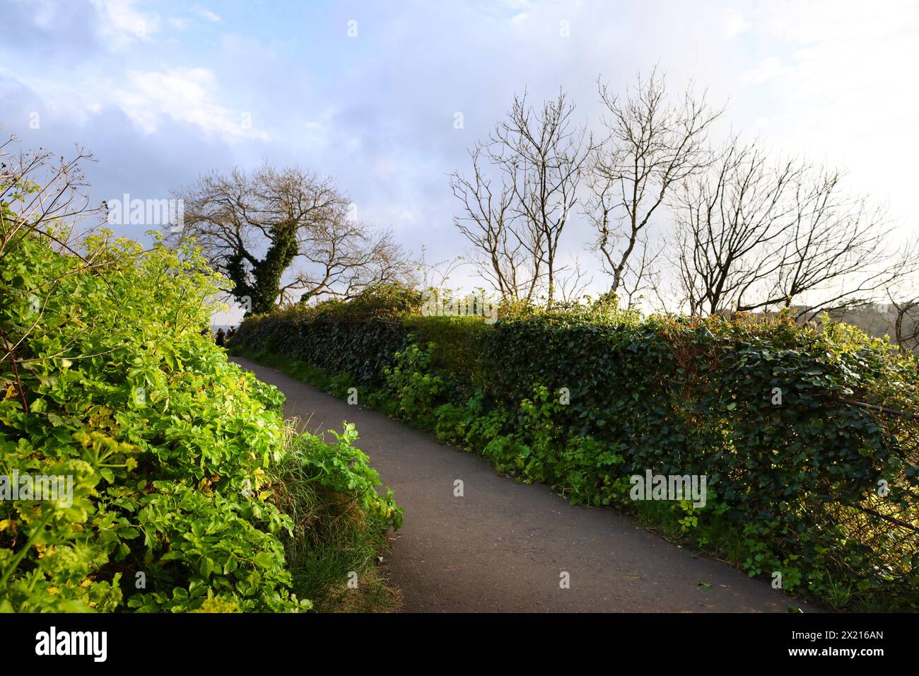 Bristol, England, 29. März 2024: Schöner Garten neben dem Observatorium und der Clifton Suspension Bridge im Clifton Park, Bristol Stockfoto