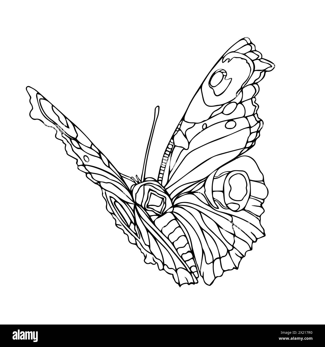 Ein Schmetterling mit schwarzem Körper und weißen Flecken. Der Schmetterling ist mit vielen Details gezeichnet, einschließlich seiner Flügel und Antennen. Strichgrafik-Vektor-Illustration Stock Vektor