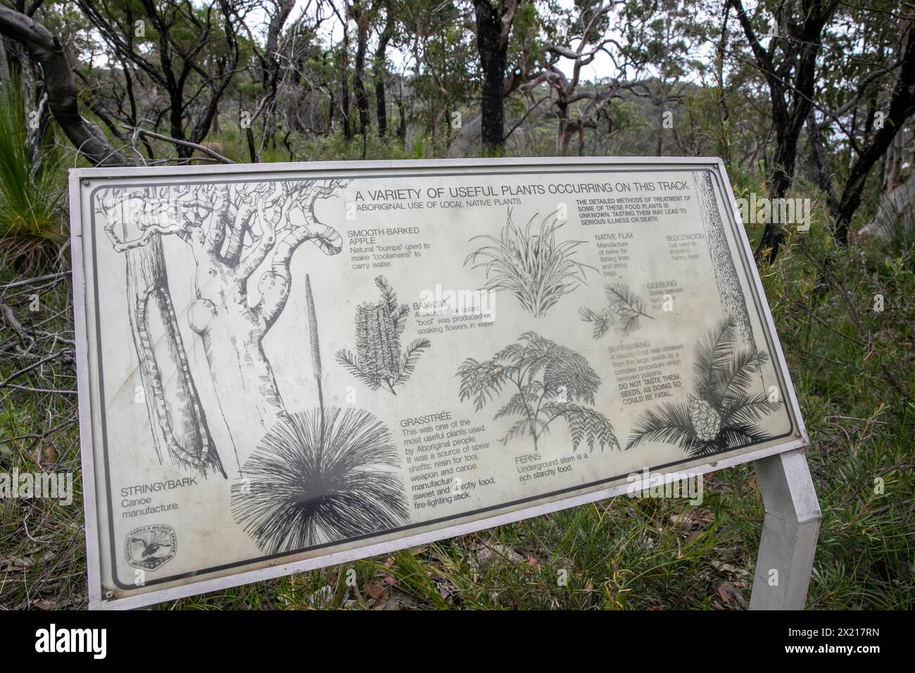 Resolute Beach Loop Trail und Schild mit Informationen darüber, wie die Ureinwohner einheimische Pflanzen im Alltag verwendeten, Ku-Ring-gai-Chase Nationalpark Stockfoto