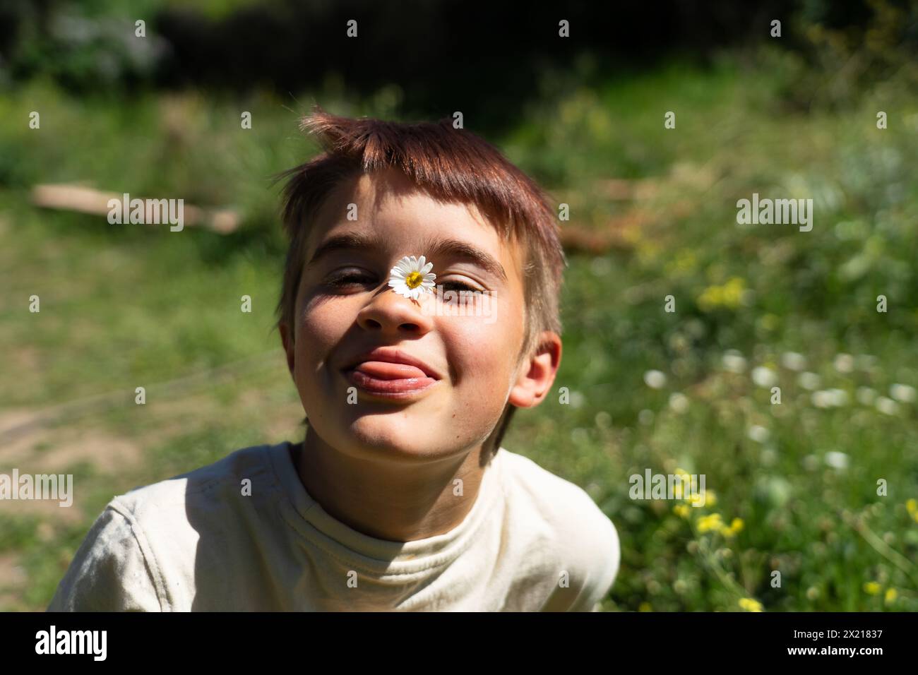 Ein weißer Junge, 8 Jahre alt, mit einem Gänseblümchen im Gesicht, der in der Natur seine Zunge herausragt. Frühlingsstimmung Stockfoto