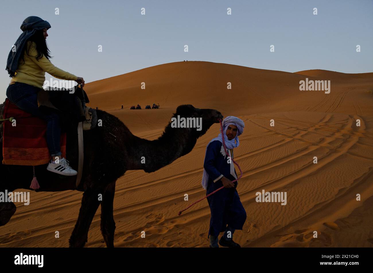 Marokkanischer Kameleer in Turban und Gewand hält das Zaumzeug eines Kamels, mit einem Touristen an Bord, vor dem Hintergrund einer Wüstendüne von Merzouga. Stockfoto