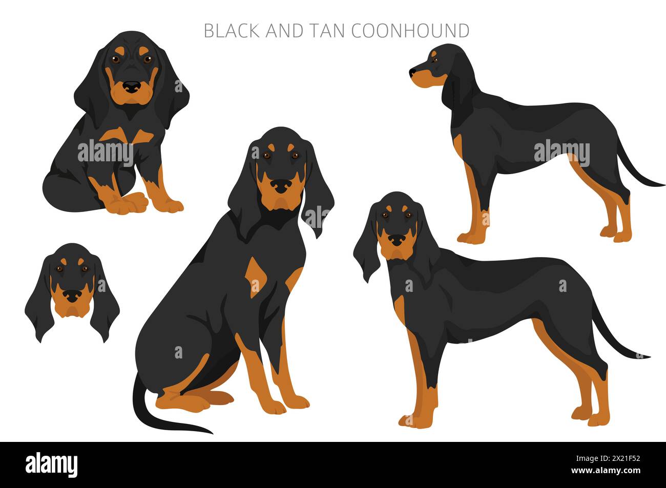 Schwarzer und brauner Coonhound-Clipart. Verschiedene Fellfarben und Posen eingestellt. Vektorgrafik Stock Vektor