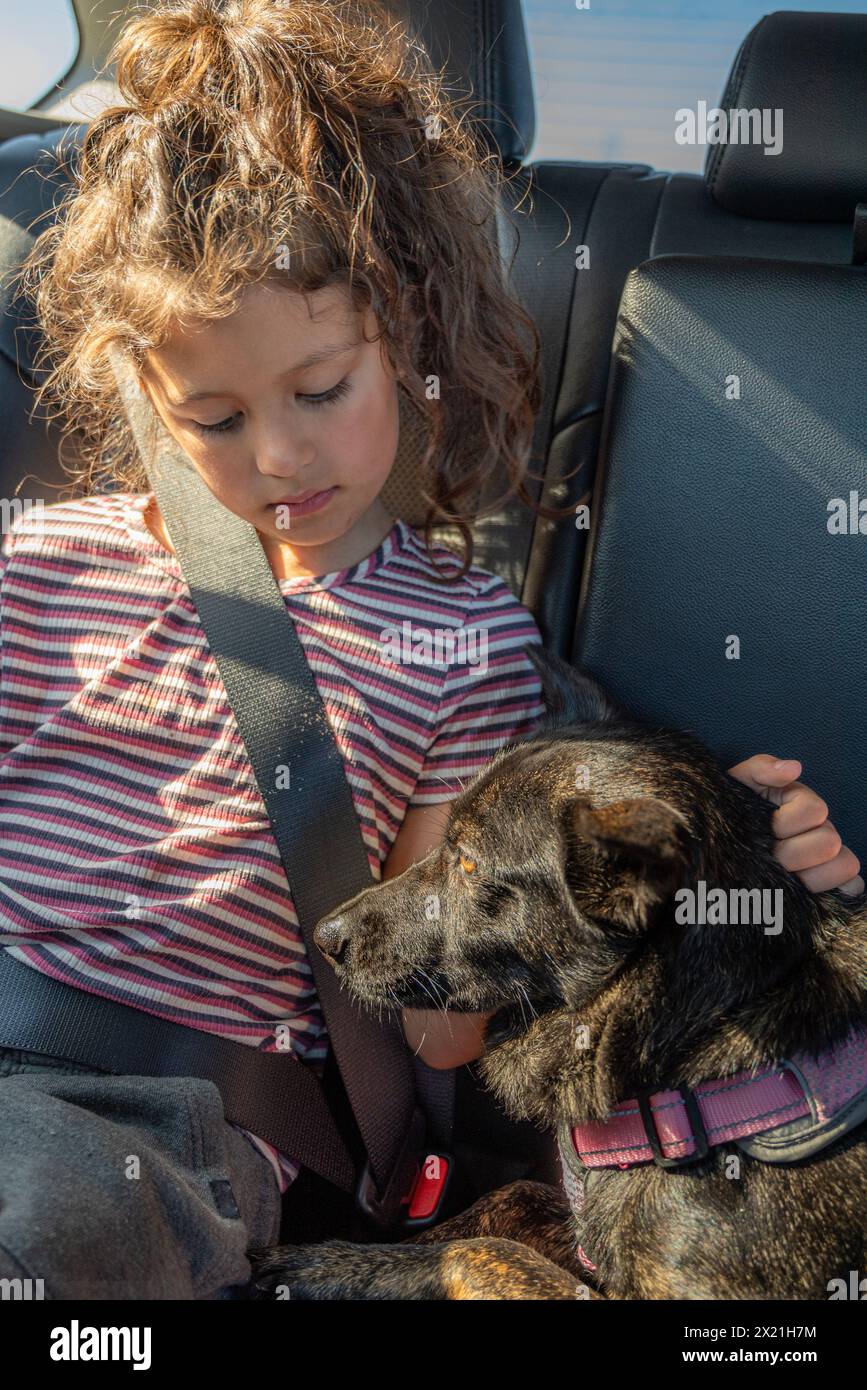 Ein Mädchen, das auf den Hund im Auto auf dem Roadtrip blickt Stockfoto