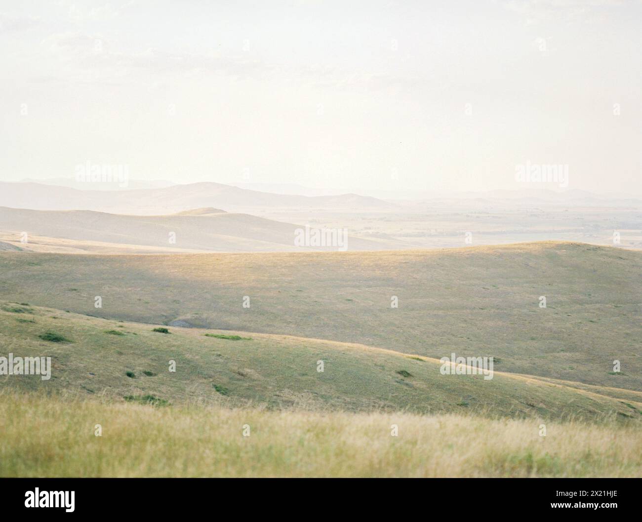 Sanfte Hügel von Montana, die in sanfter goldener Stunde getaucht sind Stockfoto