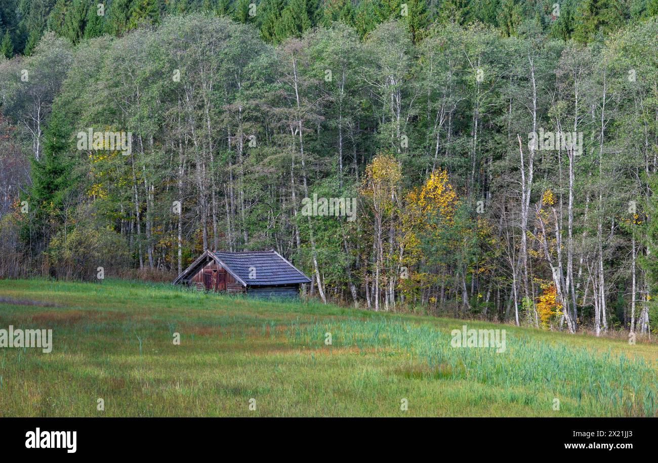 Aalte Feldscheune im Moor, Krün, Oberbayern, Bayern, Deutschland Stockfoto