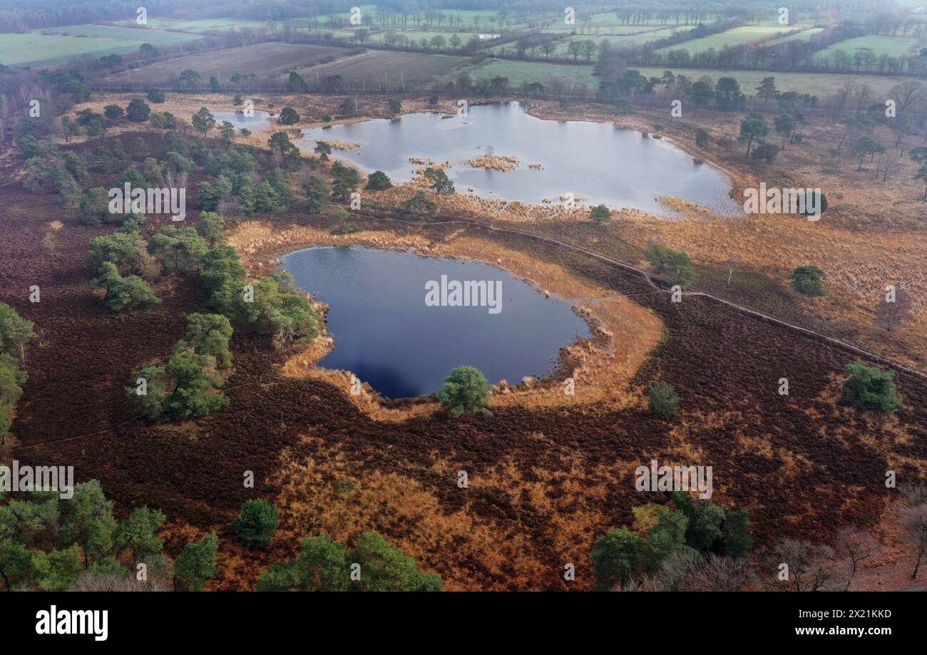 Nach langer Trockenzeit haben sich die Teiche in der Strijbeekse Heide wieder mit Regen gefüllt, Luftaufnahme, Niederlande, Noord-Brabant Stockfoto