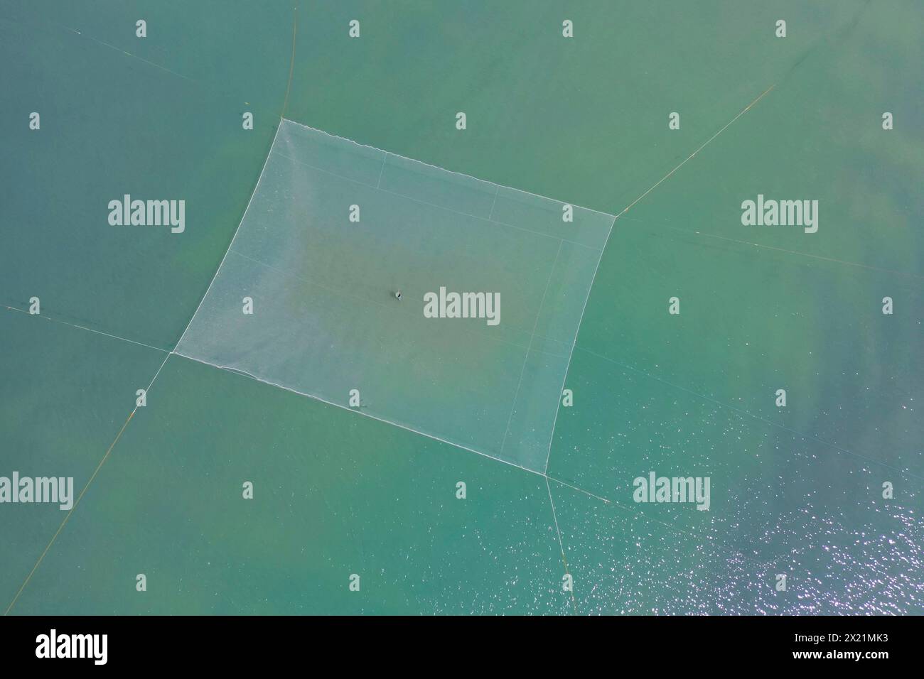 Fischernetz an der Mündung des Flusses drin, aus der Vogelperspektive, Albanien, Naturreservat Kune-Vain-Tale Stockfoto