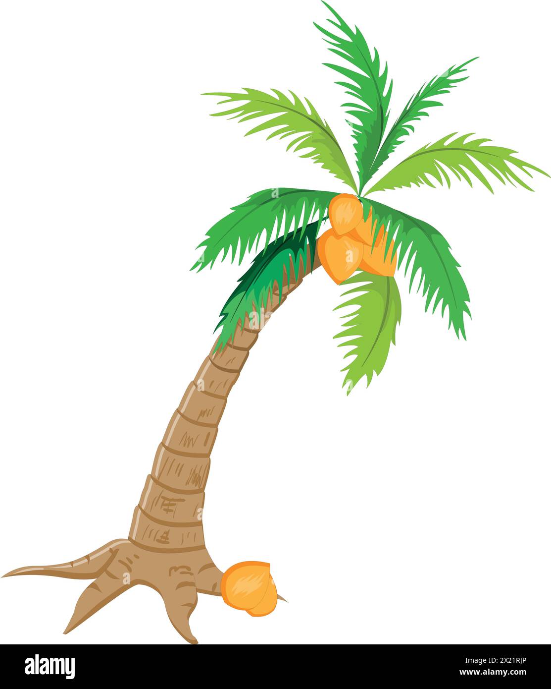 Kokosnussbaum-Vektor-Illustration Stock Vektor