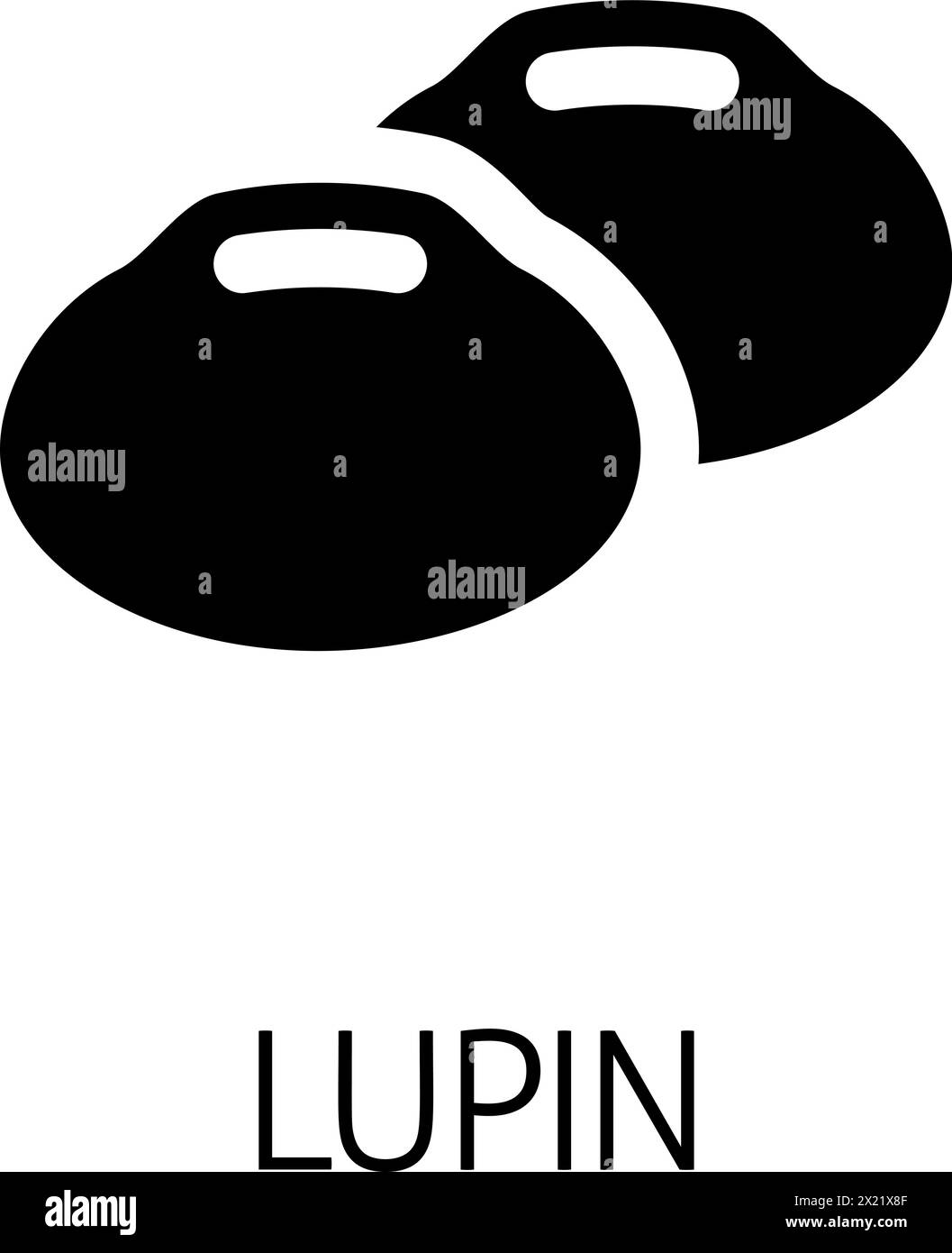 Lupin Bohnen Leguminosen Food Icon Konzept Stock Vektor