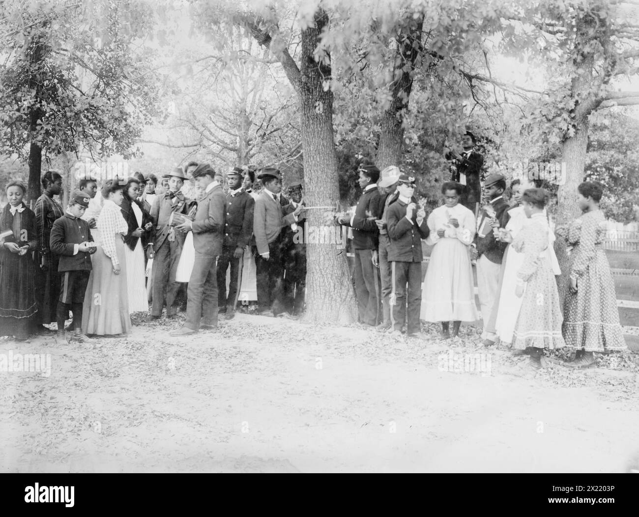 Studium der Botanik, Tuskegee, zwischen 1910 und 1915. Zeigt Studenten am Tuskegee Institute, Tuskegee, Alabama. Stockfoto