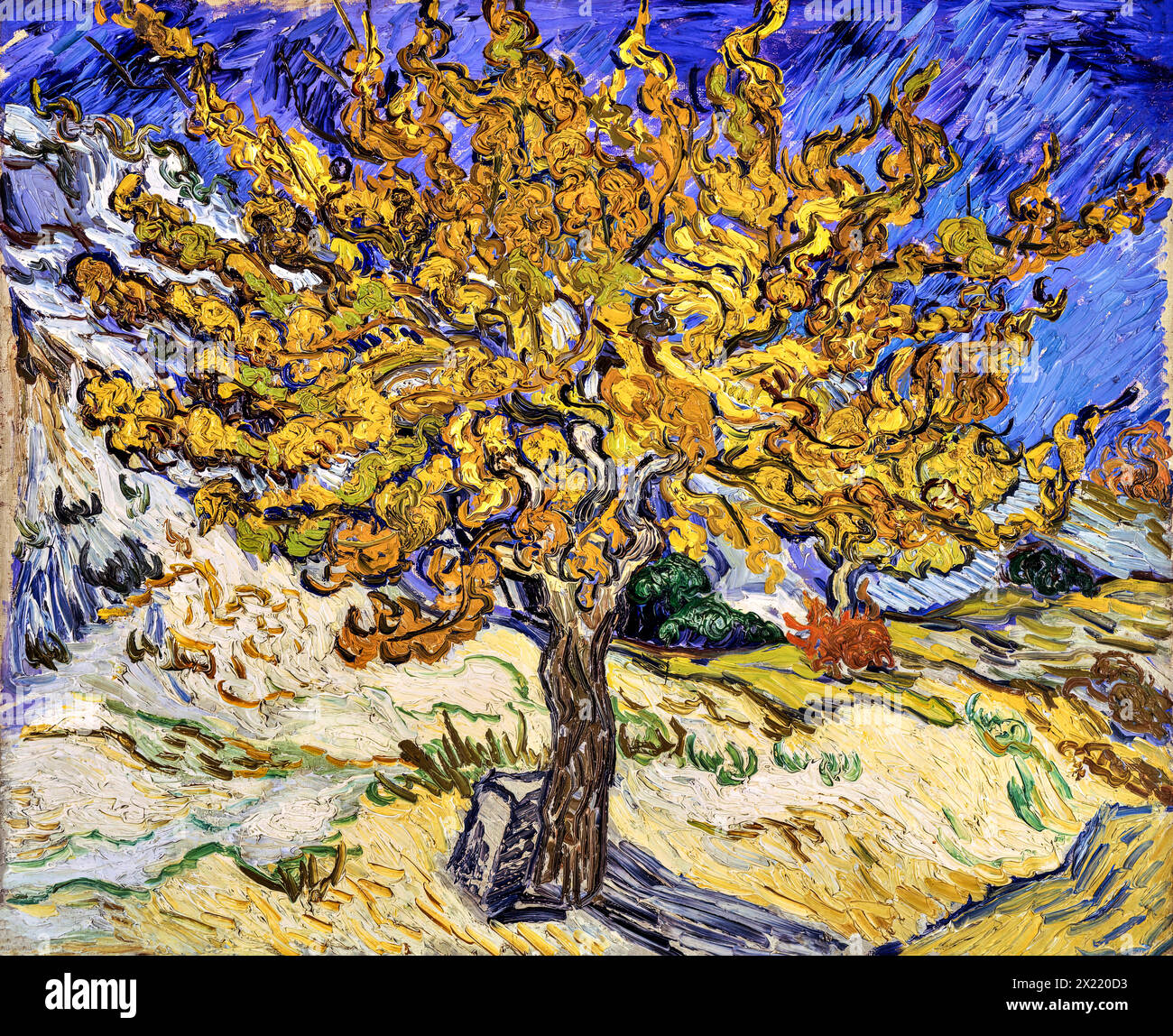 Mulberry Tree, 1889 (Gemälde) des Künstlers Gogh, Vincent van (1853–90) Niederländisch. Stock Vektor