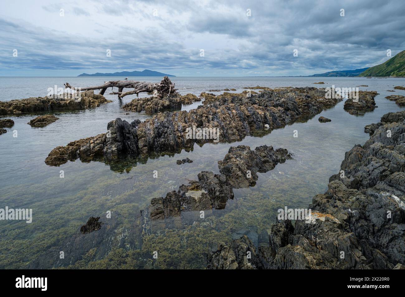 Pukerua Bay und Kapiti Island, Porirua, Wellington Region, Kapiti Coast, NorthIsland, Neuseeland Stockfoto