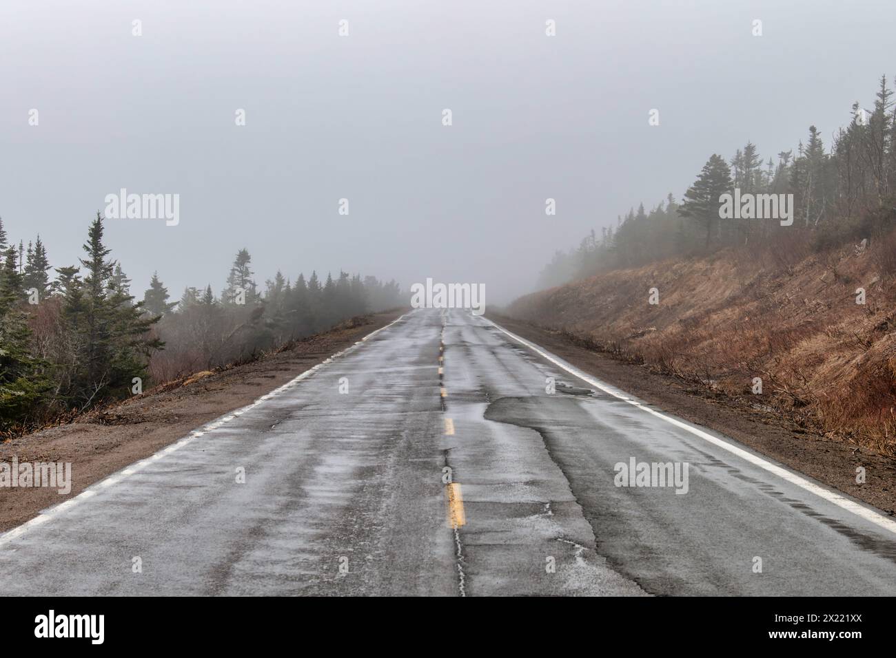 Nebelige Straßen in Neufundland Stockfoto