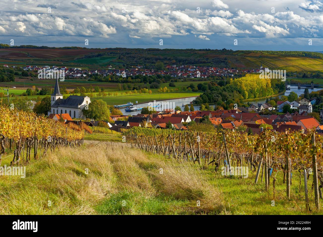 Landschaft und Weinberge in der Nähe von Wipfeld, Bezirk Schweinfurt, Unterfranken, Franken, Bayern, Deutschland Stockfoto