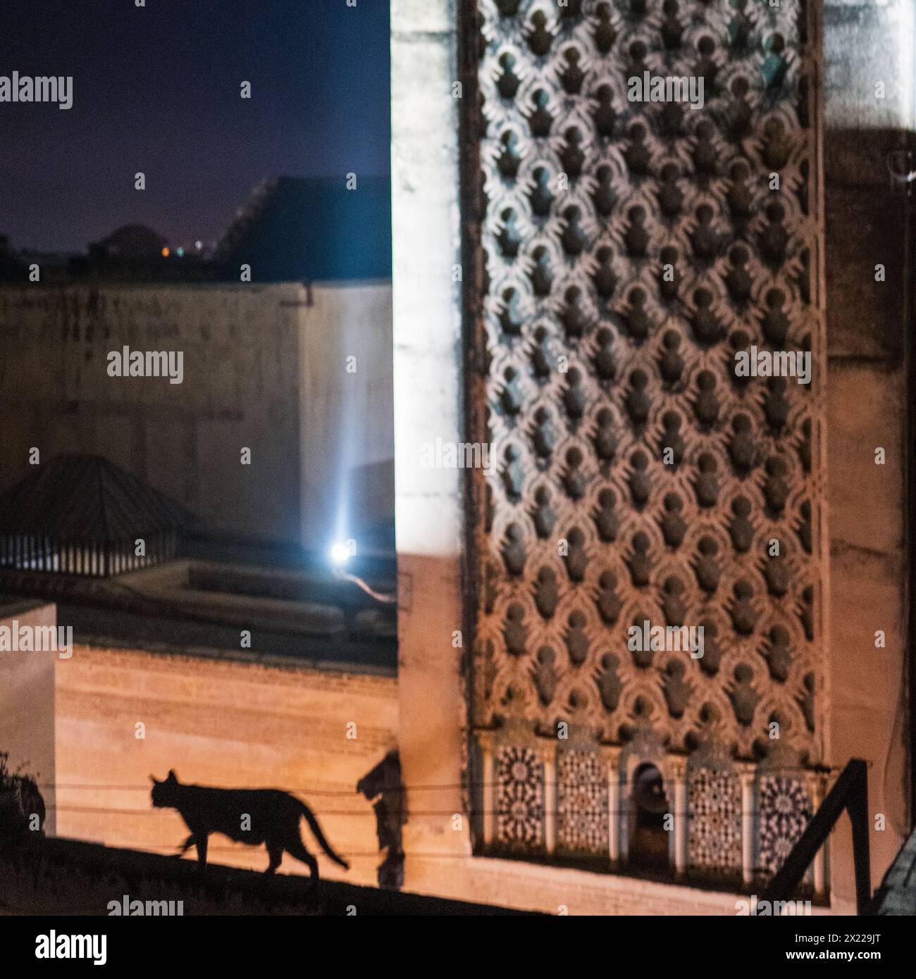 Eine Katze spaziert nachts auf einer Mauer mit dem Minarett Medersa Bou Inania im Hintergrund in Medina, Fès, Marokko. Stockfoto