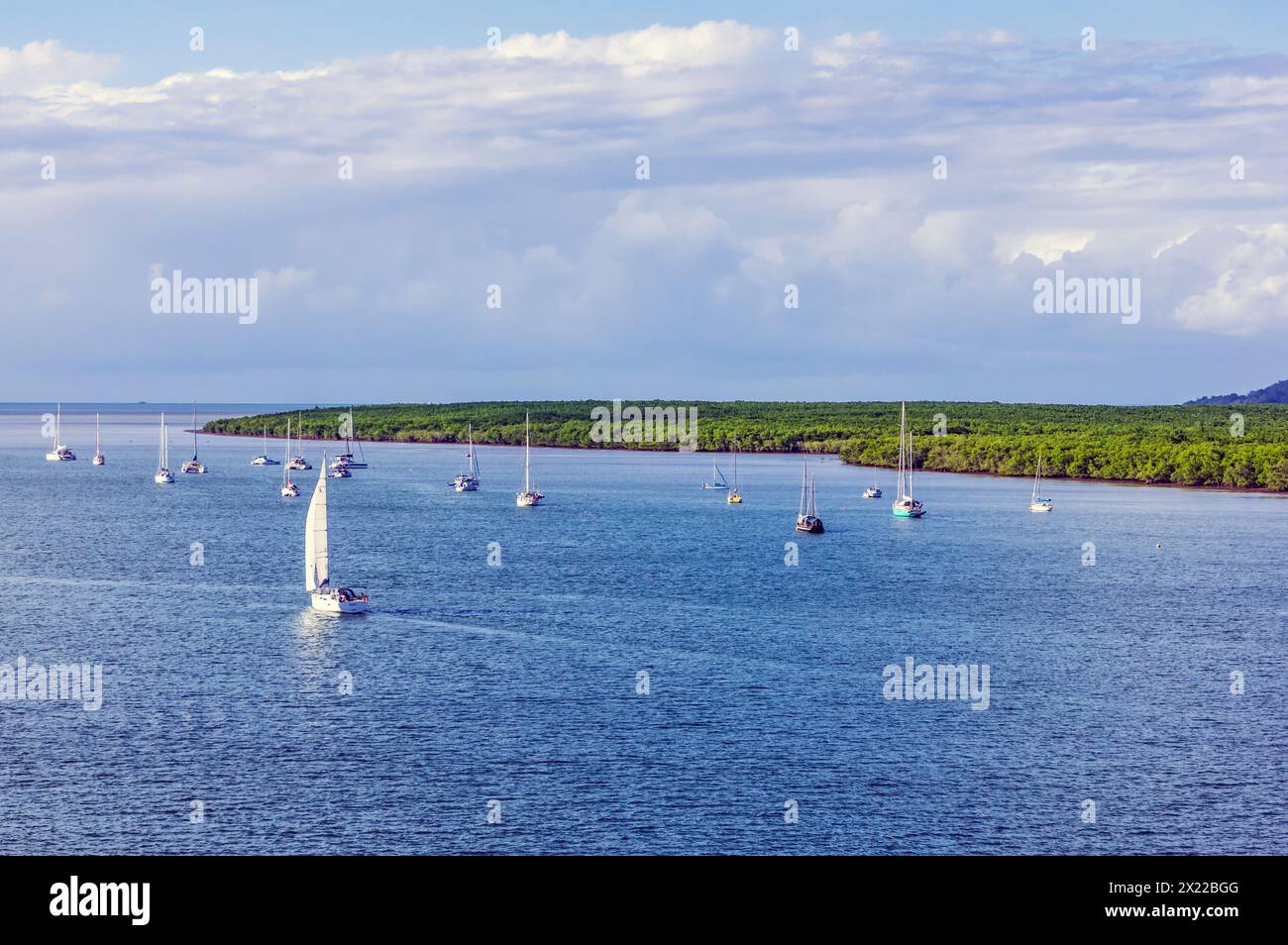 Blick auf die Stadt Cairns im tropischen Norden des australischen Bundesstaates Queensland, das als Tor zum Great Barrier Reef gilt. Stockfoto
