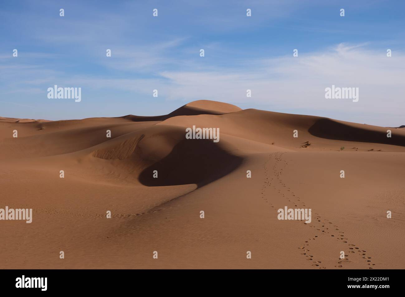 Sanddünen in der Wüste Sahara, Marokko Stockfoto Sanddünen in der Wüste Sahara, Marokko Stockfoto