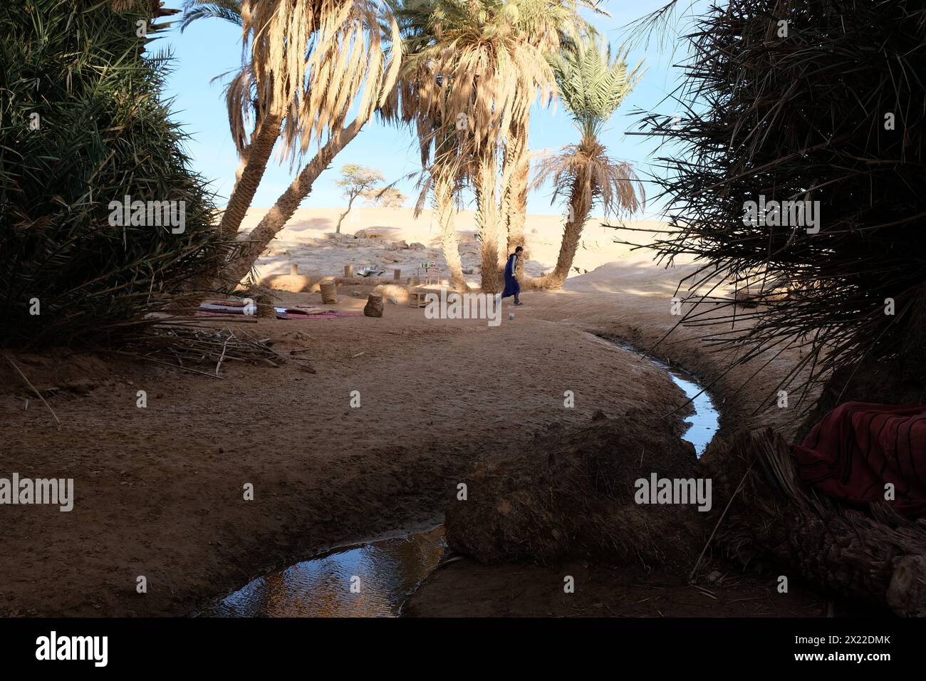 Oase in der Wüste Sahara, Marokko Stockfoto Oase in der Wüste Sahara, Marokko Stockfoto