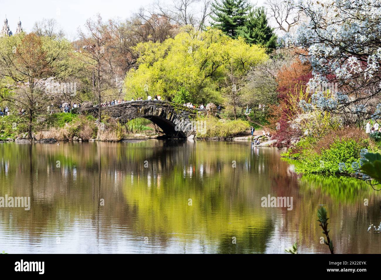 Die Gapstow Bridge und der Teich sind eine Touristenattraktion während der Frühlingssaison 2024 in New York City, Central Park, USA Stockfoto