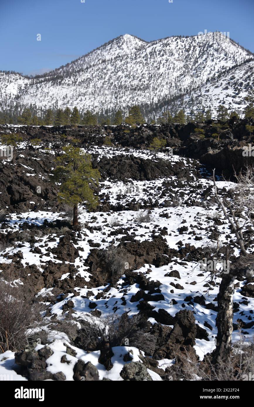 Flagstaff, AZ. USA 20.03.2024. Sunset Crater Volcano National Monument. Dieser 1.120 m hohe Schlackenkegel brach um 1085 n. Chr. aus und hinterließ Lavaströme Stockfoto