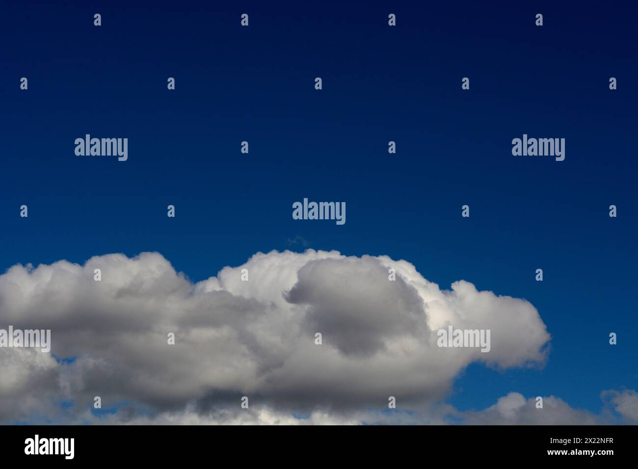 Cumulus-Wolken bilden sich am Horizont in Asheville, North Carolina, USA Stockfoto