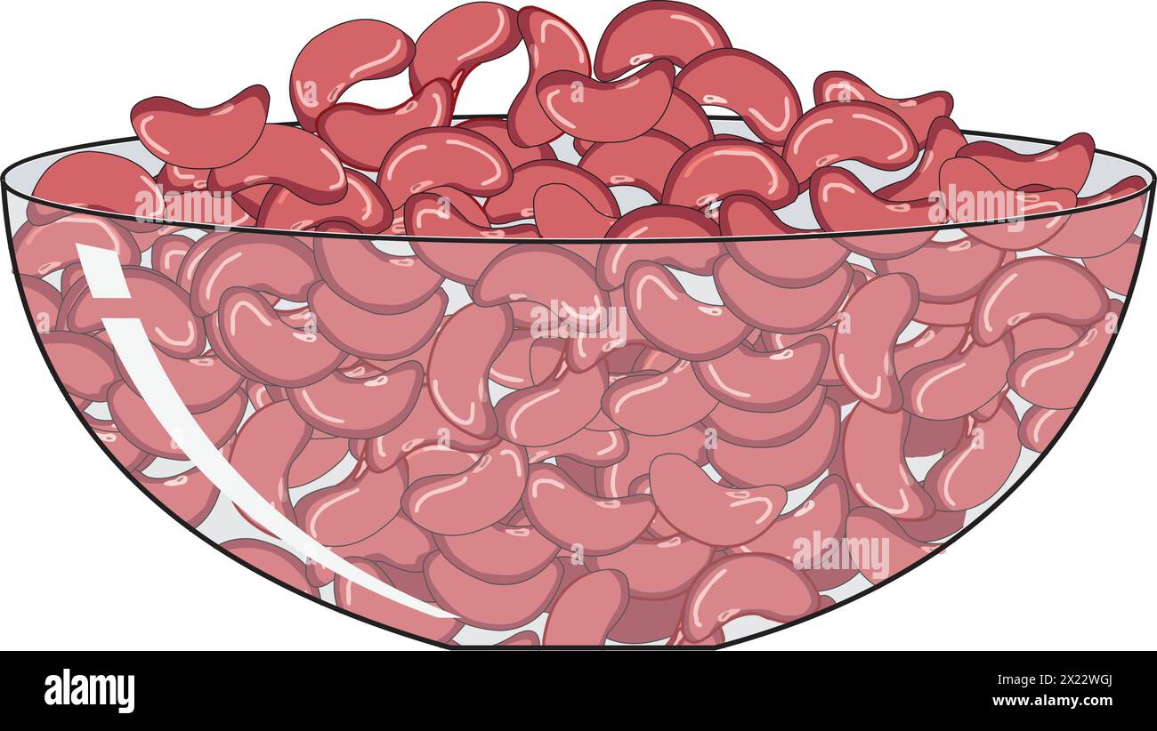 Illustration der Kidneybohnen Stock Vektor