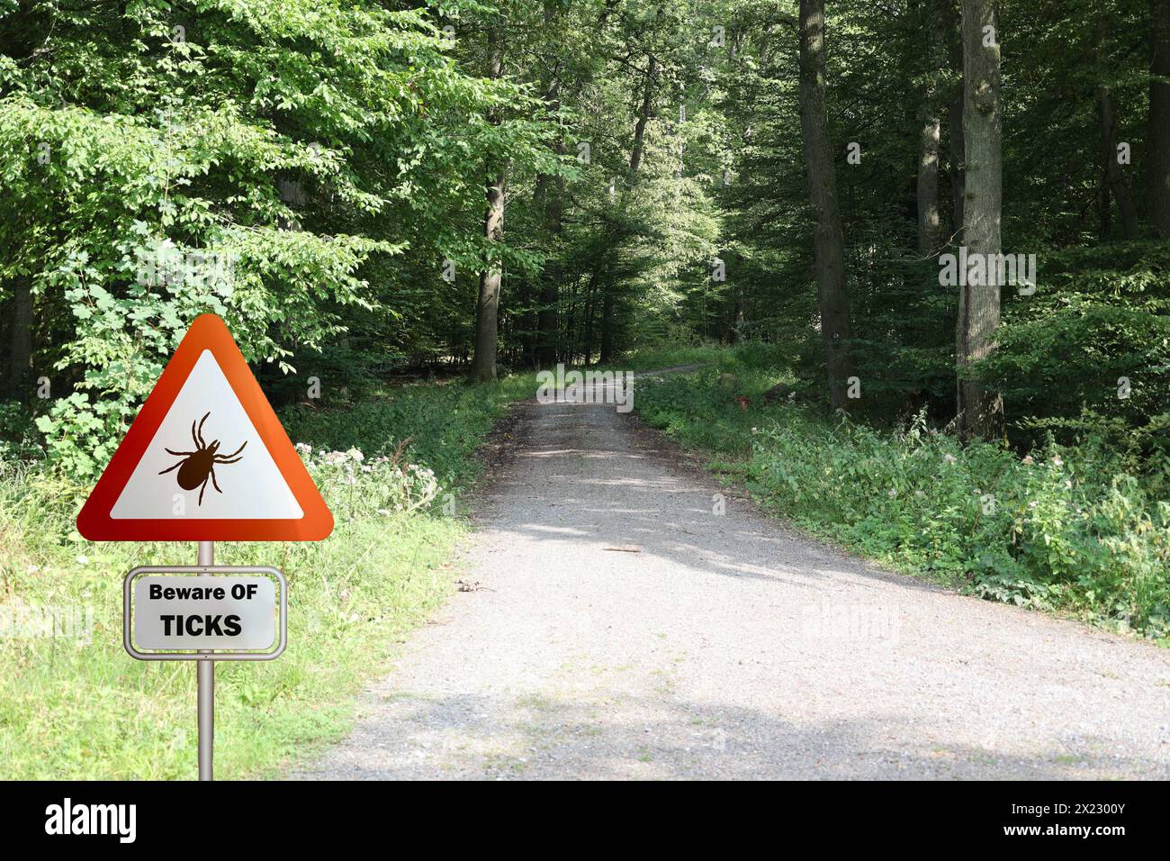 Warnschild für infizierte Zecken im Wald. Risiko von Zecken und Lyme-Borreliose. Stockfoto