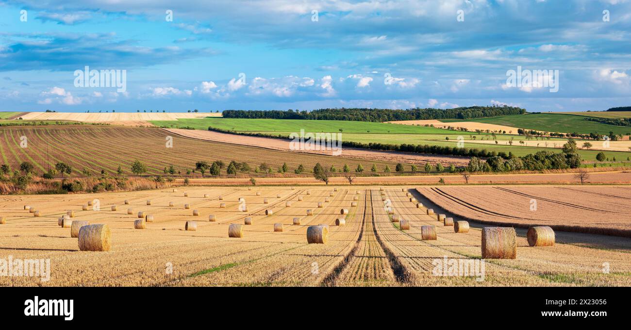 Feldlandschaft während der Ernte im Sommer, Stoppelfeld mit Strohballen unter blauem Himmel mit Gewitterwolken, Sachsen-Anhalt, Deutschland Stockfoto