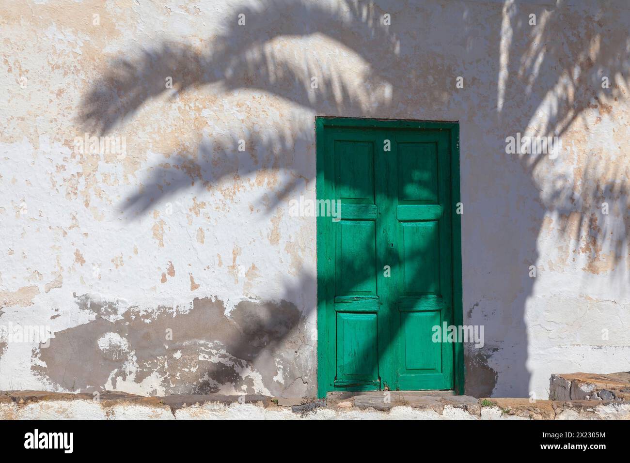 Typischer Hauseingang auf Fuerteventura im Schatten einer Palme, Fuerteventura, Kanarische Insel, Spanien Stockfoto