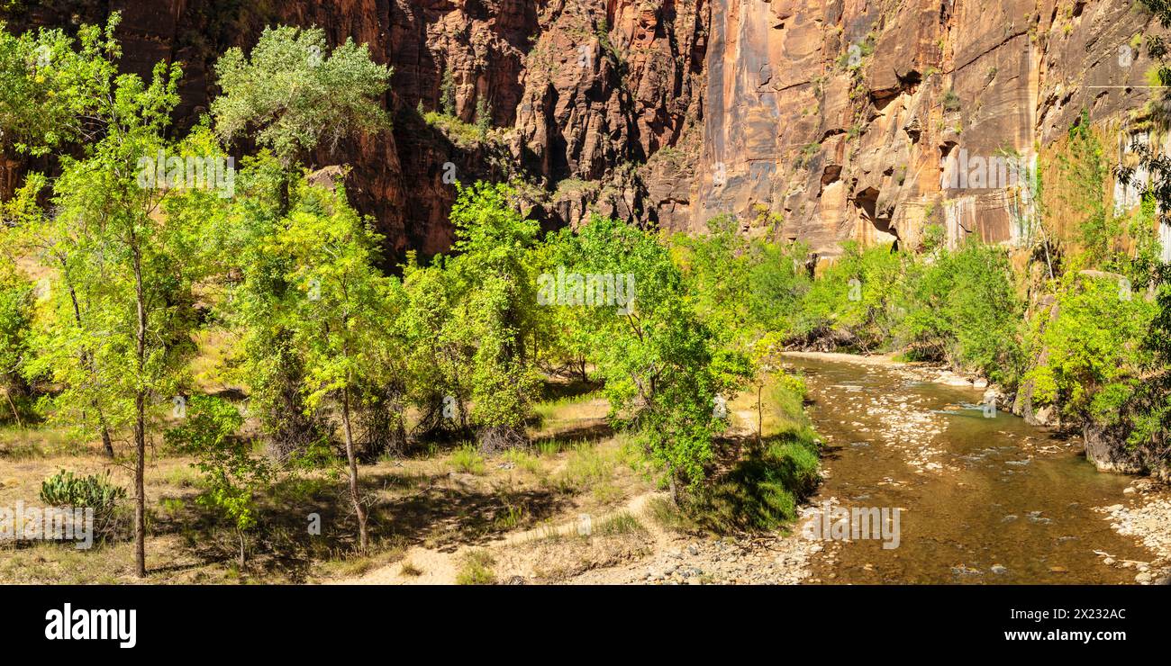 Riverside Walk, Tempel von Sinawava, Zion National Park, Colorado Plateau, Utah, USA, Zion National Park, Utah, USA Stockfoto